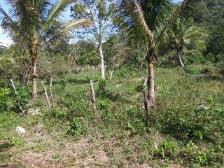 Land For Sale in Mile Gully Manchester, Manchester, Jamaica