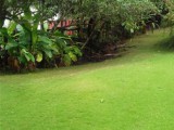 House For Sale in Gordon Town, Kingston / St. Andrew Jamaica | [5]