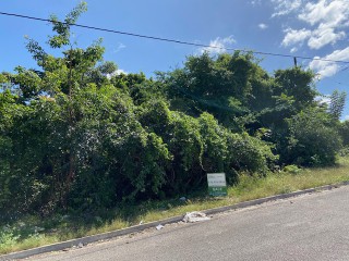 Residential lot For Sale in Duncans, Trelawny Jamaica | [5]