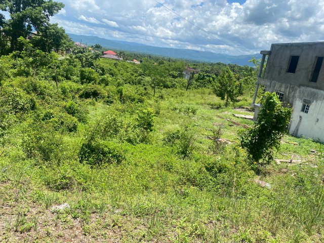 Residential lot For Sale in Santa Cruz, St. Elizabeth Jamaica | [5]