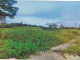 Residential lot For Sale in Carton Claremont, St. Ann Jamaica | [1]