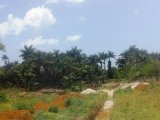 Residential lot For Sale in Lacovia, St. Elizabeth Jamaica | [11]
