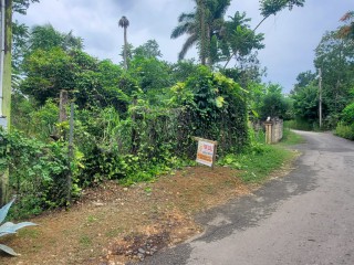 Residential lot For Sale in Three Courts Retreat, St. Mary, Jamaica