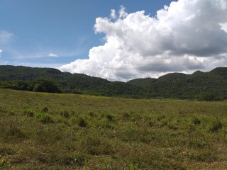 Land For Sale in Bogue, St. Elizabeth Jamaica | [13]