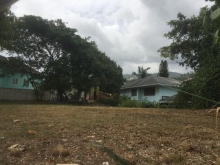 Residential lot For Sale in Birdsucker, Kingston / St. Andrew Jamaica | [4]