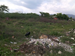 Commercial/farm land For Rent in Denbigh, Clarendon Jamaica | [6]