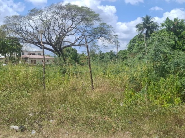 Residential lot For Sale in Homstead Park, St. Catherine Jamaica | [10]