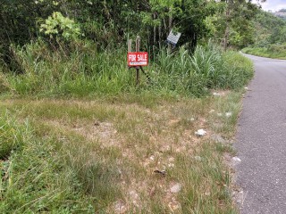 Residential lot For Sale in Red Hills, Kingston / St. Andrew Jamaica | [4]