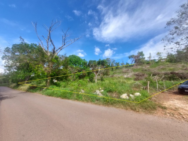 Land For Sale in Spur Tree Mandeville, Manchester Jamaica | [3]