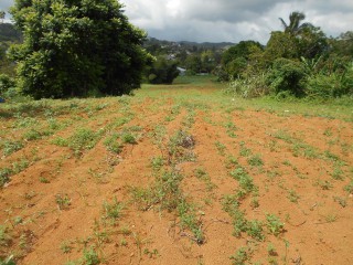 Land For Sale in Mandeville, Manchester Jamaica | [5]