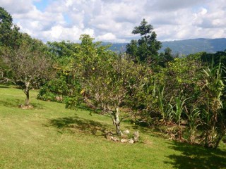 House For Sale in Ingleside, Manchester Jamaica | [4]