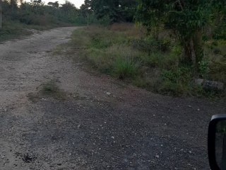 Residential lot For Sale in Above emarld estates in rio nuevo on mango valley road couple minutes of main rd, St. Mary Jamaica | [2]