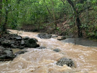 Commercial/farm land For Sale in GREEN ISLAND, Hanover, Jamaica