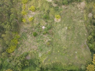 Commercial/farm land For Sale in St Peters, Kingston / St. Andrew, Jamaica