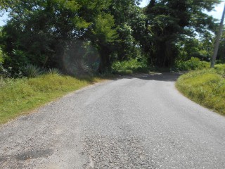 Land For Sale in Rosewell, Clarendon Jamaica | [5]