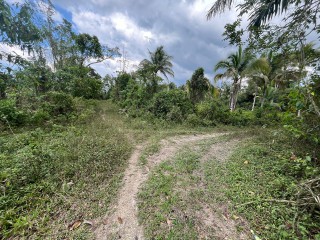 Commercial/farm land For Sale in Belvedere Chester Castle, Hanover Jamaica | [4]