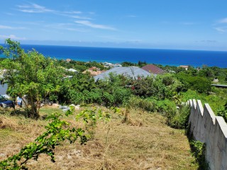 Residential lot For Sale in Tower Isles, St. Mary Jamaica | [4]