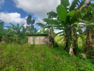 Land For Sale in Jeffrey Town, St. Mary, Jamaica