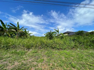 Land For Sale in Tower Isle, St. Mary, Jamaica