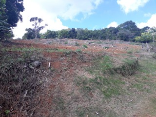 Land For Sale in Christiana, Manchester Jamaica | [3]