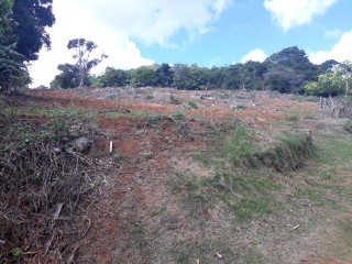 Land For Sale in Christiana, Manchester, Jamaica