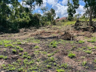 Residential lot For Sale in May Day, Manchester Jamaica | [2]
