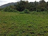 Commercial/farm land For Sale in Hope Bay, Portland Jamaica | [4]