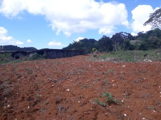 Land For Sale in Christiana, Manchester Jamaica | [7]