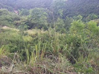 Residential lot For Sale in Red Hills, Kingston / St. Andrew, Jamaica