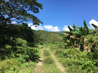 Commercial/farm land For Sale in Bath, St. Thomas Jamaica | [4]