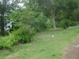 Residential lot For Sale in Red Hills, Kingston / St. Andrew Jamaica | [4]