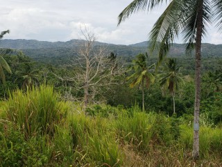 Commercial/farm land For Sale in Unity, St. Mary Jamaica | [8]
