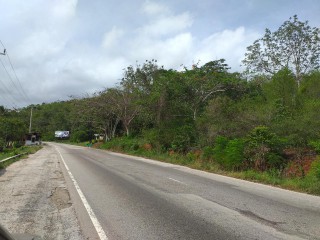 Commercial land For Sale in Spur Tree, Manchester Jamaica | [4]