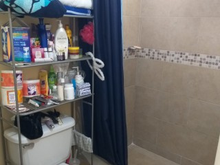 Apartment For Rent in Mona Kgn 6, Kingston / St. Andrew Jamaica | [2]