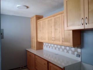 Apartment For Rent in New Kingston, Kingston / St. Andrew Jamaica | [7]