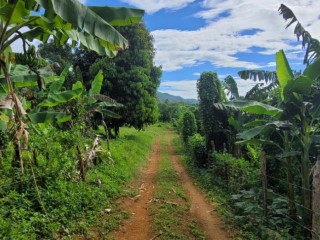 Land For Sale in Williamsfield, Manchester Jamaica | [2]