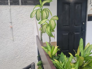 Apartment For Rent in Annette Gardens, Kingston / St. Andrew Jamaica | [11]