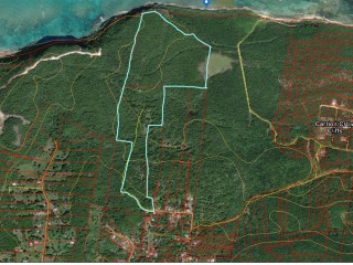 Land For Sale in Duncans, Trelawny, Jamaica