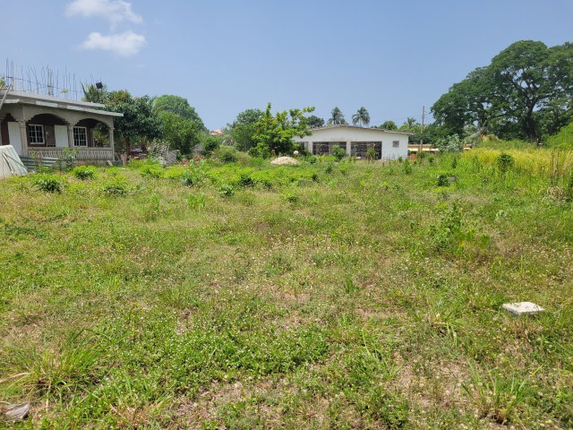 Residential lot For Sale in Avon Park, St. Catherine Jamaica | [2]