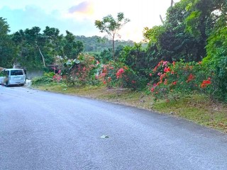 Land For Sale in Lot 525 Orchard Gardens Gated, Hanover Jamaica | [2]