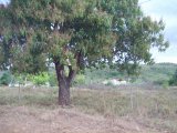 Flat For Sale in Swansea May Pen, Clarendon Jamaica | [6]