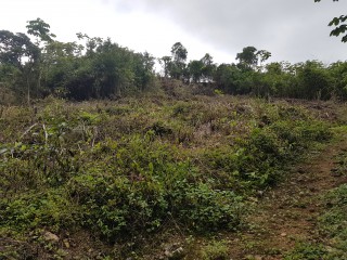 Residential lot For Sale in Red Hills, Kingston / St. Andrew Jamaica | [2]