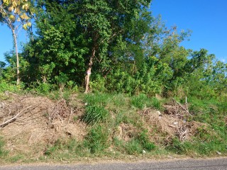 Residential lot For Sale in Bybrook, St. Elizabeth Jamaica | [2]