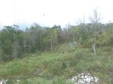  For Sale in Spanish Town, St. Catherine Jamaica | [1]