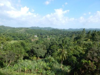 Commercial/farm land For Sale in Summer Hill, St. James Jamaica | [3]
