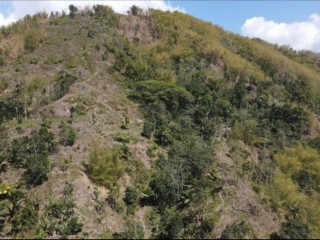 Commercial/farm land For Sale in BRANDON HILL, Kingston / St. Andrew Jamaica | [2]