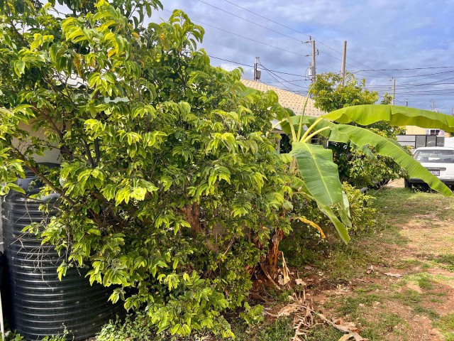 House For Sale in HELLSHIRE ESTATE, St. Catherine Jamaica | [6]
