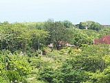 Residential lot For Sale in Lucea, Hanover Jamaica | [3]