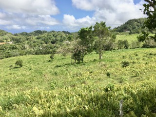 Residential lot For Sale in Chippenham Park Bamboo, St. Ann Jamaica | [12]