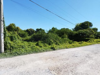 Land For Sale in Lionel Town, Clarendon Jamaica | [1]